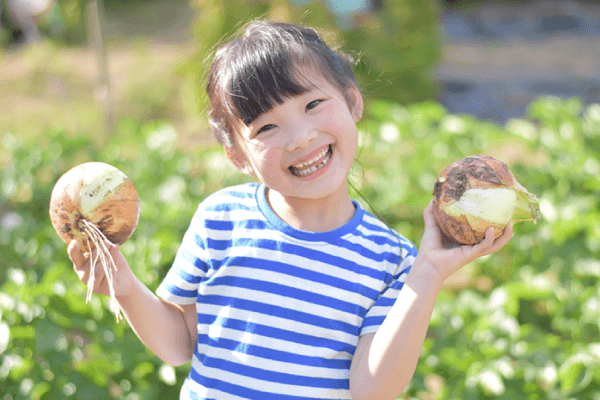 年間行事・イベント